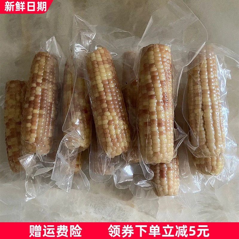 烨丽云南西双版纳香糯小花糯包谷玉米棒真空袋装即食非转基因生态