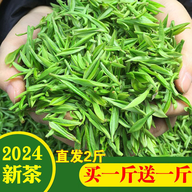 茶叶【买一斤送一斤】信阳毛尖2024新茶雨前春茶高山绿茶散装500g