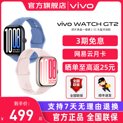 vivoWATCHGT2智能蓝牙手表