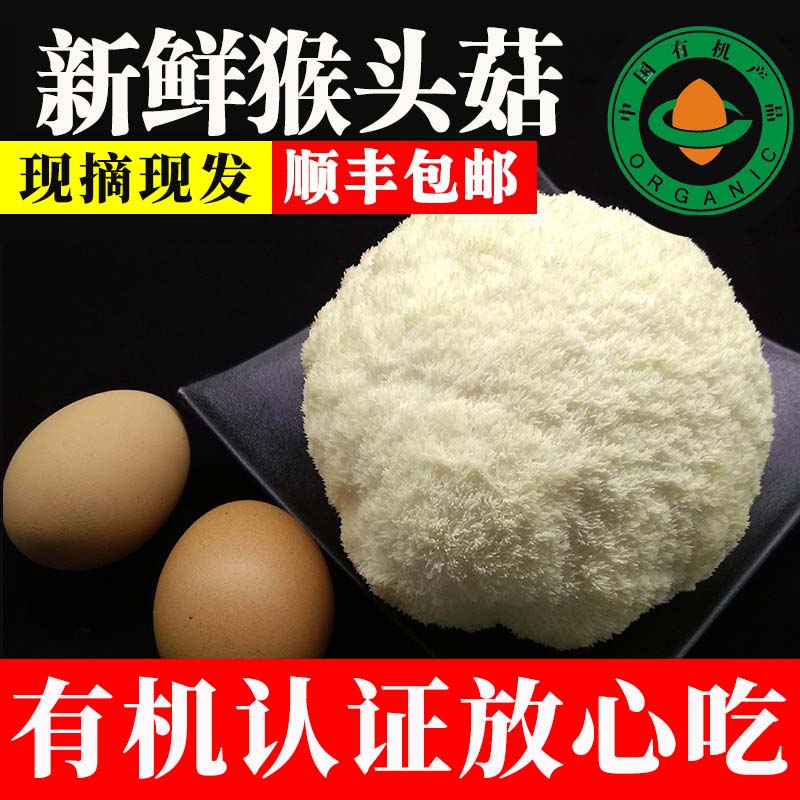 悦来颐和新鲜蘑菇500g有机猴头菇