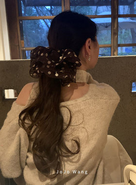 超柔雪纺~法式咖啡点点气质发圈女扎头发饰高级感时尚头绳洋气