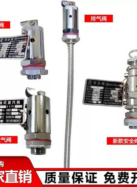 高压灭菌锅配件压力蒸汽消毒锅全启式安全阀/排气阀/放气阀