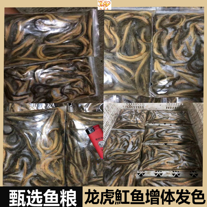 包邮冷冻泥鳅单冻虾仁河虾麦穗鱼食新鲜观赏鱼龙鱼虎鱼魟鱼龟饲料