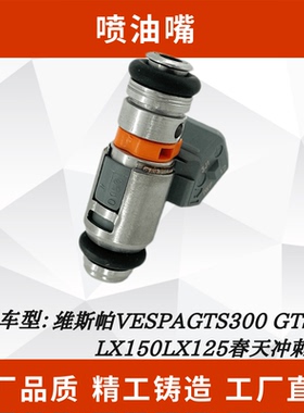 适用维斯帕VESPAGTS300 GTS250LX150LX125春天冲刺 喷油嘴意大利