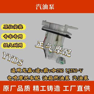 适用龙嘉v途v霸v咖250 LJ250-V 电喷摩托车配 油箱燃油泵 汽油泵