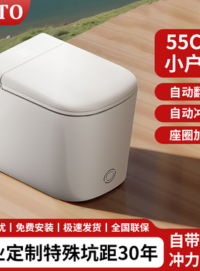 NBTO智能马桶NB550小户型55cm长无水压限制全自动翻盖200-450坑距