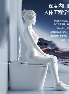 NBTO家用智能马桶150/180/200/450/480/500坑距前置喷杆人体工学
