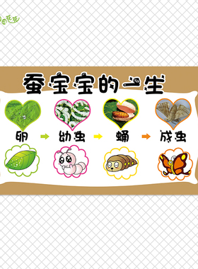 自然风生长过程蚕宝宝循环昆虫