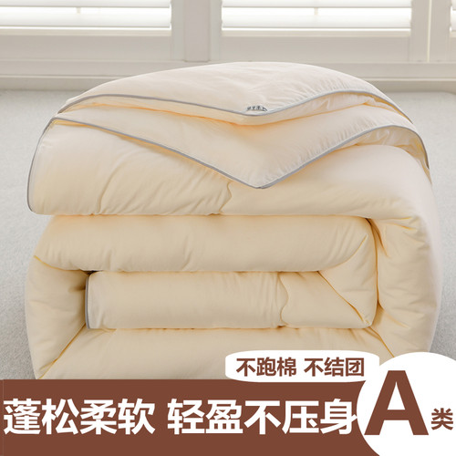 大豆纤维被子冬被棉被芯春秋加厚保暖单双人空调宿舍被四季通用