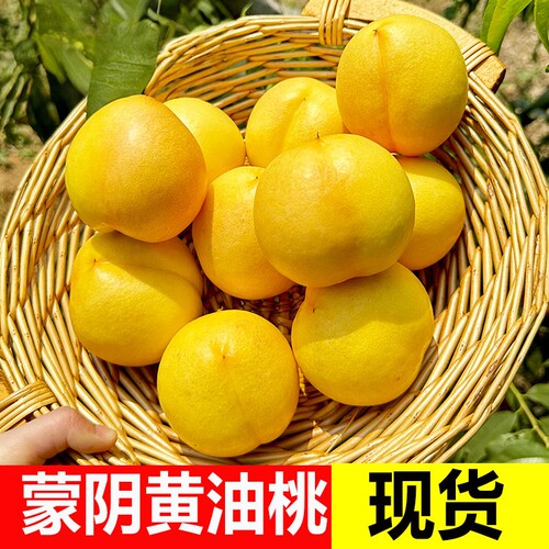 爆汁黄桃新鲜水果黄金彩虹蟠桃山东蒙阴正宗现摘现发大果独立包装