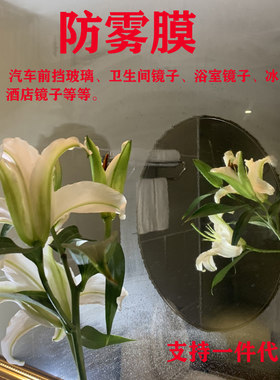 浴室卫生间冰箱冷库镜子防雾膜贴酒店洗手间厕所汽车玻璃除雾贴膜