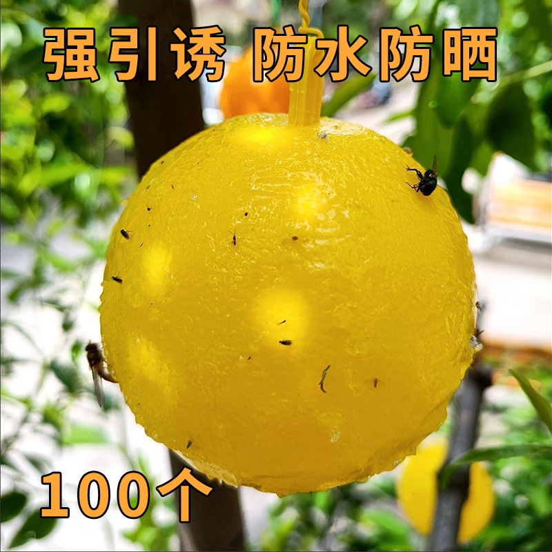 诱蝇球果树粘虫球苍蝇球柑橘大实蝇粘蝇球诱捕桔小果实蝇瓜蝇针蜂
