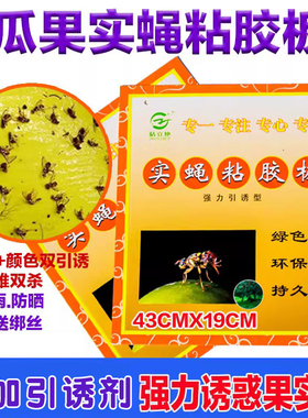 果蝇诱粘板果实蝇粘胶板瓜果园大棚粘虫诱虫针蜂粘贴蜜蜂大小实蝇