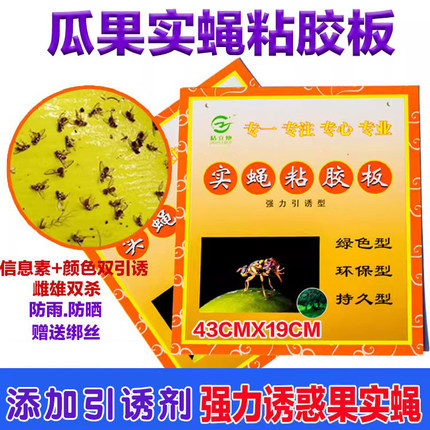 果蝇诱粘板果实蝇粘胶板瓜果园大棚粘虫诱虫针蜂粘贴蜜蜂大小实蝇