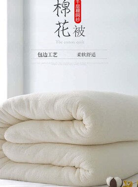 海花全棉特网包边棉被芯加厚纯棉
