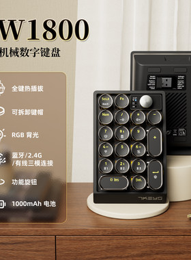 TW1800蓝牙三模复古小键盘