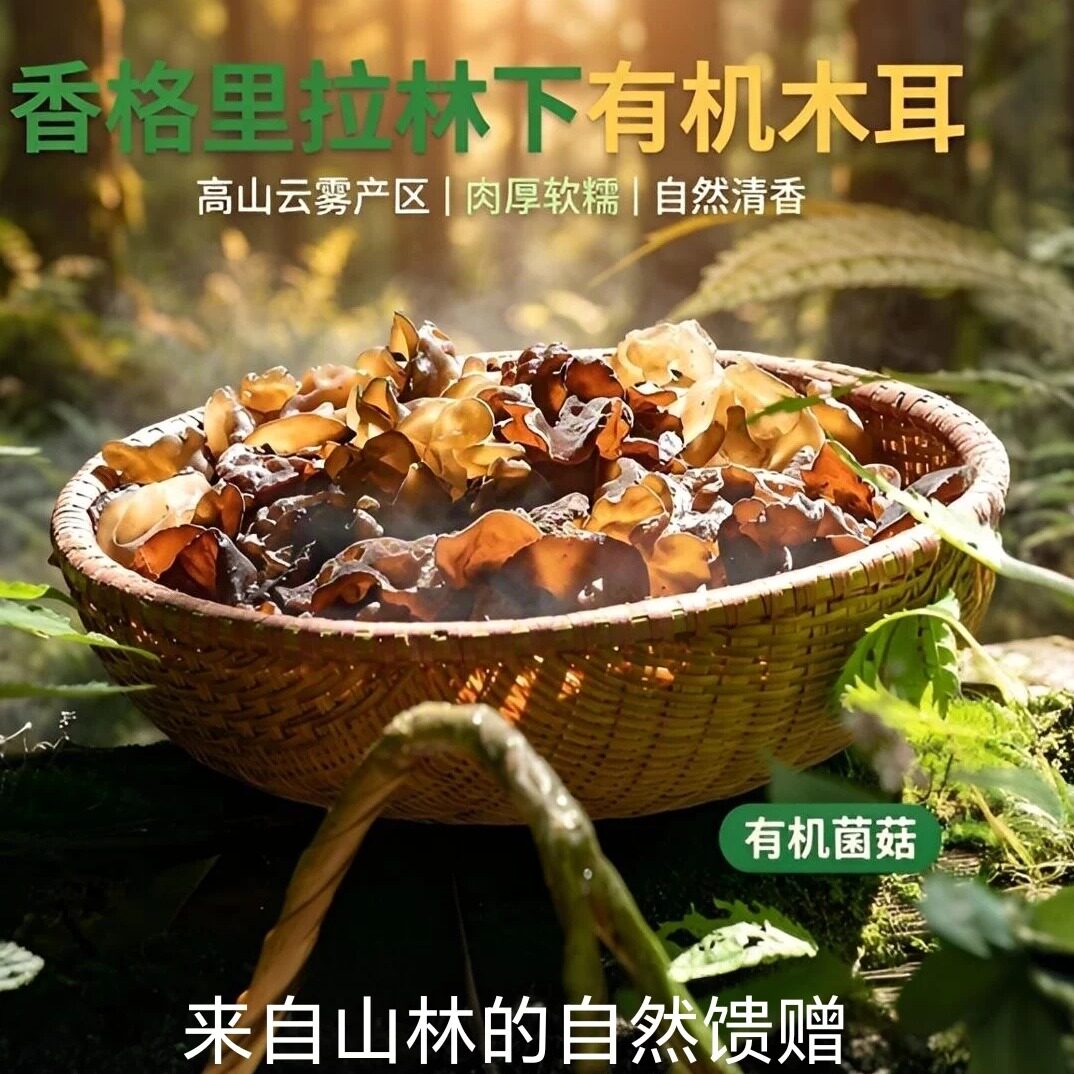 香格里拉森林有机木耳肉厚软糯