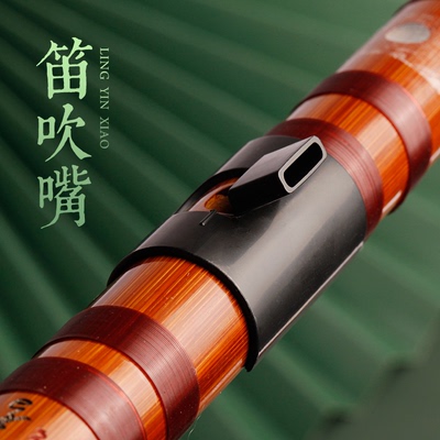 零基础初学专用竹笛子助吹器笛膜民族乐器成人儿童吹嘴辅助吹响