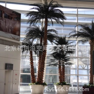 厂家直销温泉水上乐园装 饰 饰假树椰子树棕榈树海枣树空间景观装