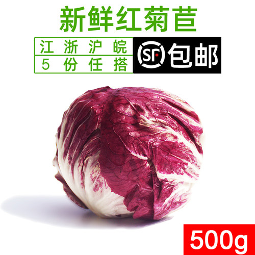 新鲜沙拉菜 落地球生菜 紫苣 红菊苣 红叶包菜500g 5件顺丰包邮