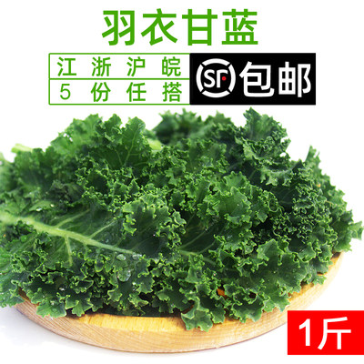 羽衣甘蓝500g 新鲜蔬菜嫩叶芥蓝菜kale沙拉食材榨汁蔬菜 顺丰包邮