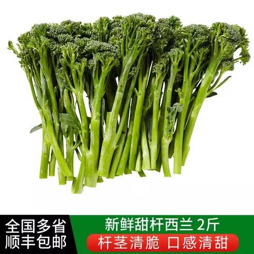 甜杆西兰苔2斤 芦笋西兰花新鲜时令蔬菜 清甜西餐食材 顺丰包邮