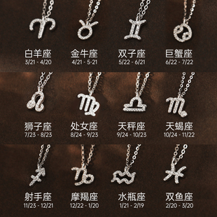 十二星座925纯银项链女款 轻奢小众气质高级感配饰锁骨链 2025新款