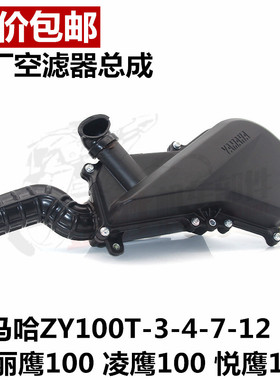 原厂雅马哈丽鹰100凌鹰悦鹰 ZY100T-3-4-7-12空气滤芯总成滤清器