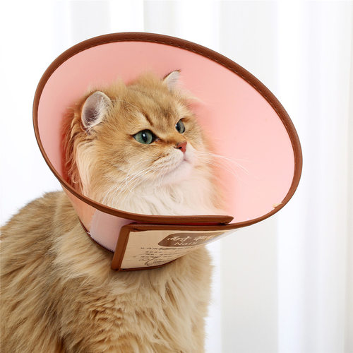 耐狮伊丽莎白项圈防舔防抓防咬项圈猫咪狗狗绝育驱虫彩色头套围脖