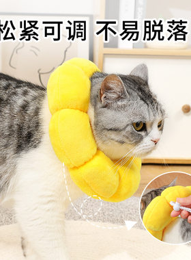 太阳花伊丽莎白圈 宠物项圈猫咪伊丽莎白项圈狗项圈绝育防舔头套