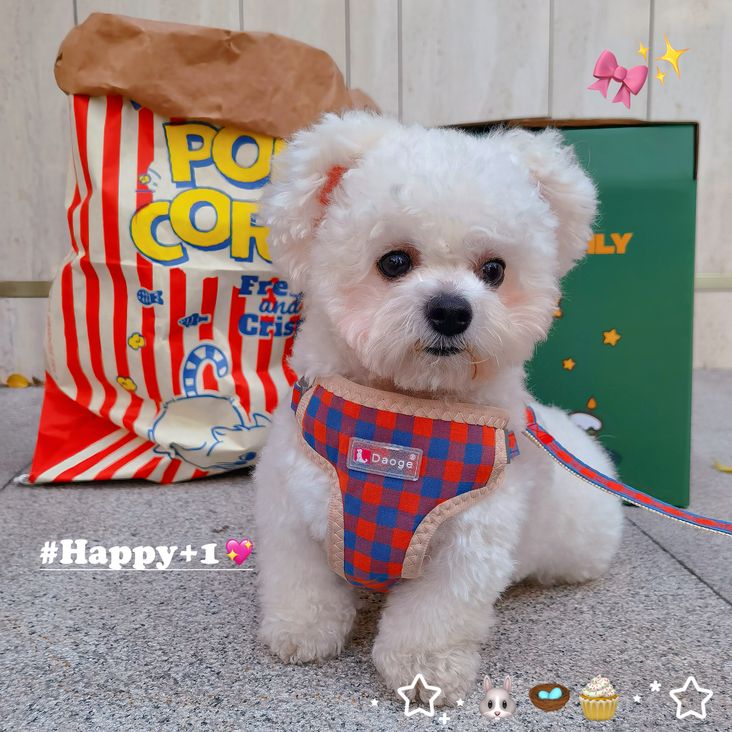 网红狗狗牵引绳尼龙胸背带