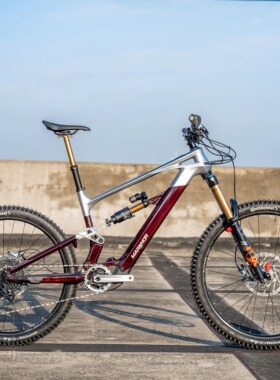 岩羊动力昆仑电助力软尾山地车MARKHOR