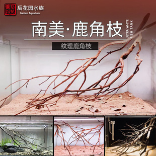 南美缸黄梨木鹿角枝天然树枝溪流缸原生缸南美缸造景树枝装饰