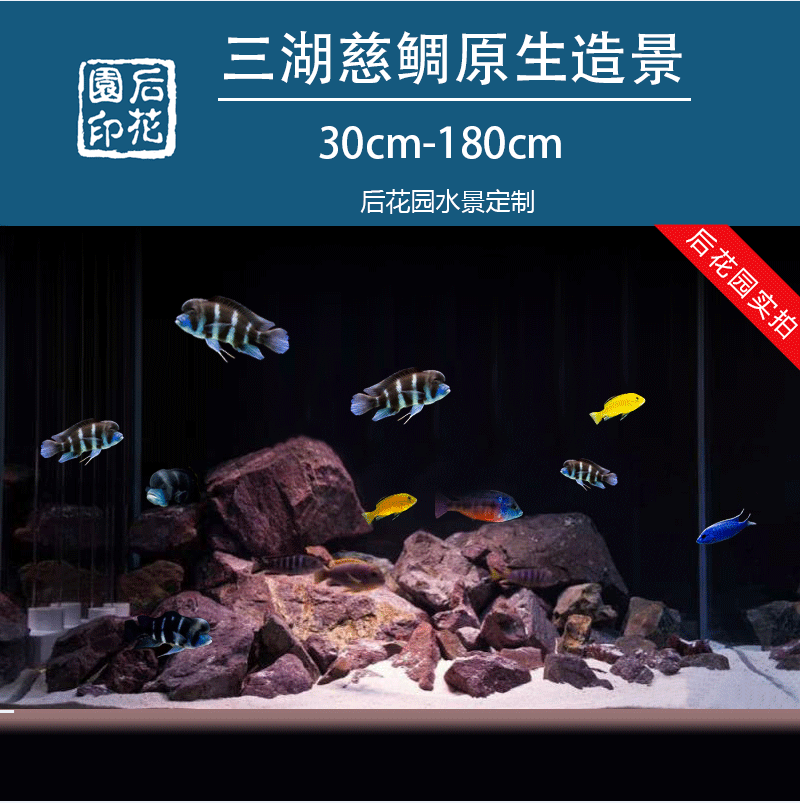 后花园水族三湖造景样式定制