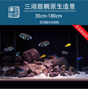 三湖造景岩栖石造景三湖慈鲷三湖躲避枝桠虾虎石雕罐三湖缸定制造
