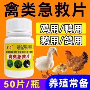 鸡鸭鹅鸽呆立精神不振药老牌子禽类急救片救禽一片活鸡药大全呼吸