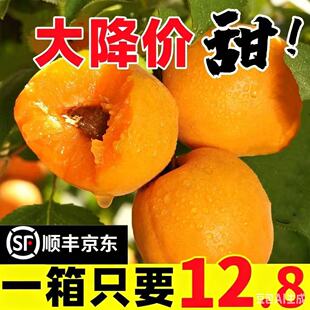 顺丰杏子新鲜水果整箱黄杏应当季孕妇酸甜脆杏整箱大果青蜜杏SS