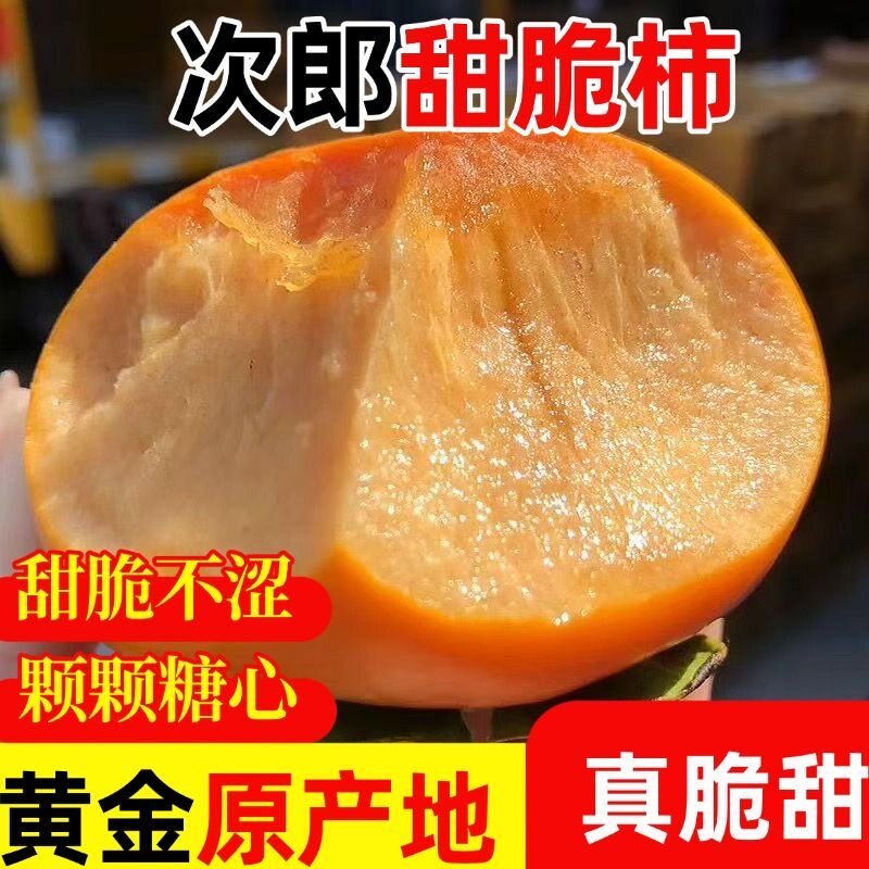 正宗次郎巧克力脆柿子新鲜水果当柿子