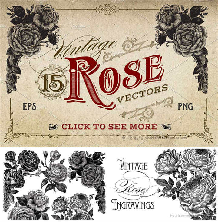 a0416矢量1800年代复古版画风格玫瑰花线稿线条图 ai设计素材 png