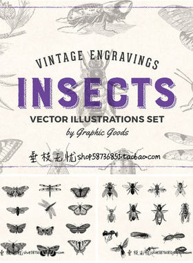 A1646矢量复古昆虫蝴蝶蜜蜂蜘蛛蟋蟀螳螂蟑螂蚊子 AI设计素材+png