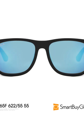 RayBan/雷朋太阳镜男士方框时尚墨镜太阳眼镜 RB4165F