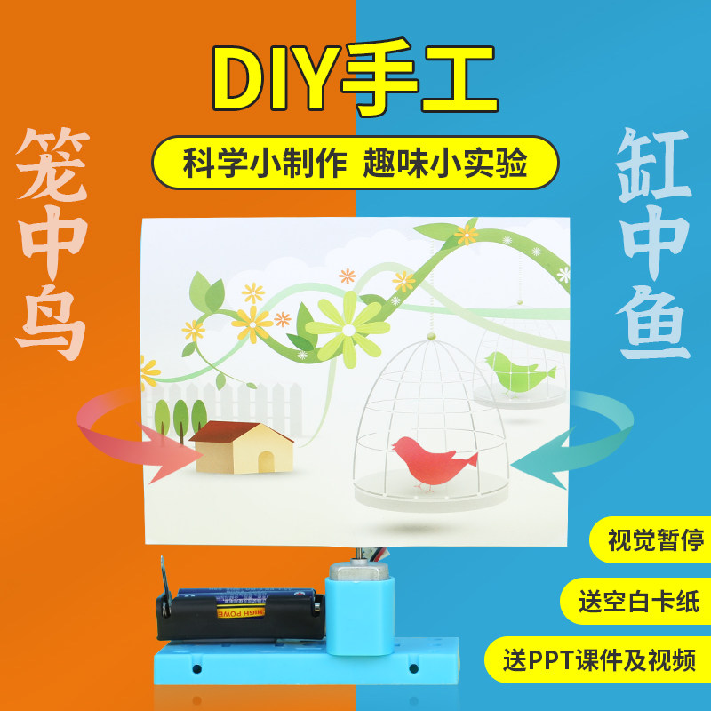 DIY笼中鸟中鱼手工材料科技实验