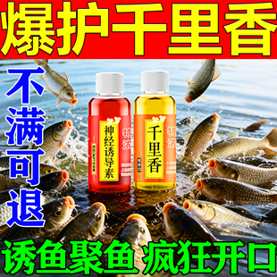 强效诱鱼剂钓鱼饵料四季通用钓鱼小药黑坑野钓神器爆护诱食剂
