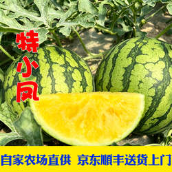 京东顺丰包邮头茬东台特小凤西瓜黄瓤农友黄心冰淇淋甜脆东台西瓜