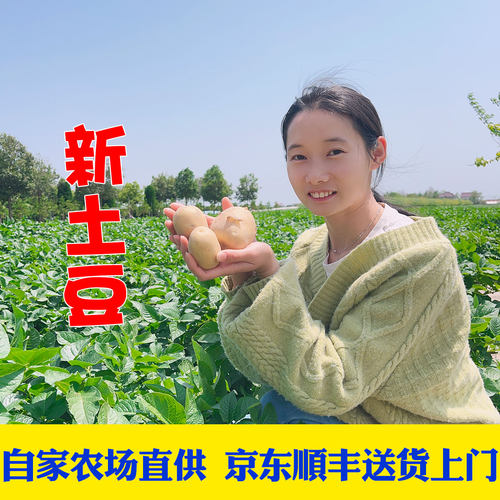 京东顺丰包邮2026年新鲜现挖老品种土豆马铃薯农家自种时令蔬菜