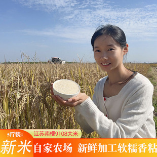 晓玲农场2025年秋季新米苏北南梗9108大米江苏大米软糯香粘5斤