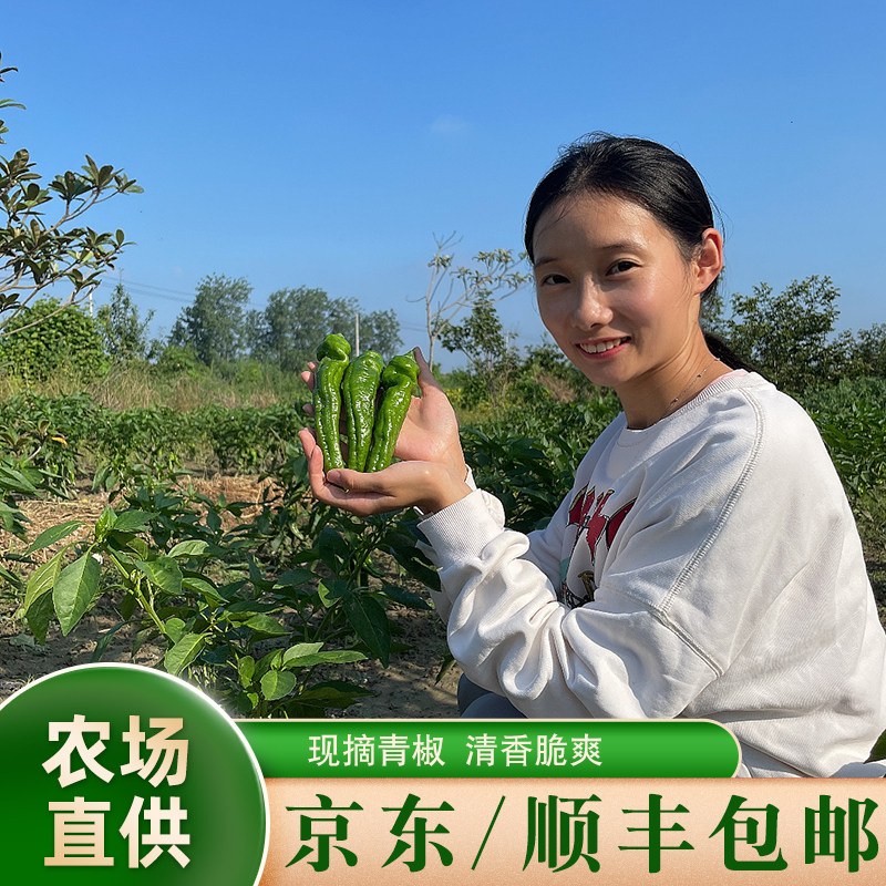 京东顺丰包邮农家自种新鲜现摘皱皮虎皮青椒春椒薄皮土大辣椒微辣