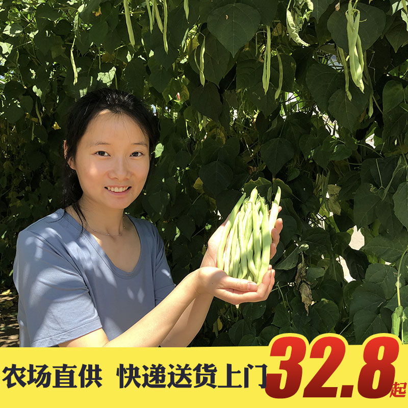 晓玲农场农家现摘新鲜四季豆芸豆刀豆扁长豆角青豆无筋豆豆类蔬菜-封面