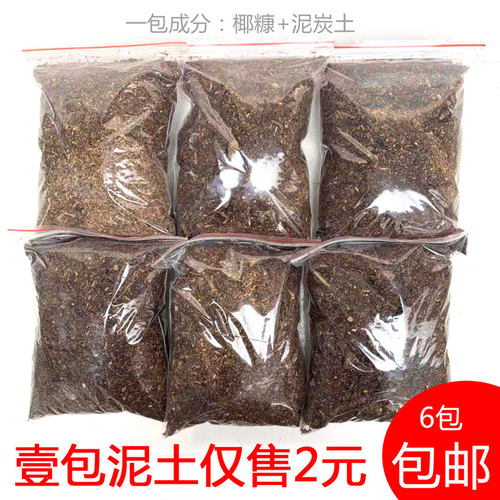 花卉发财树富贵竹铁海棠培育土