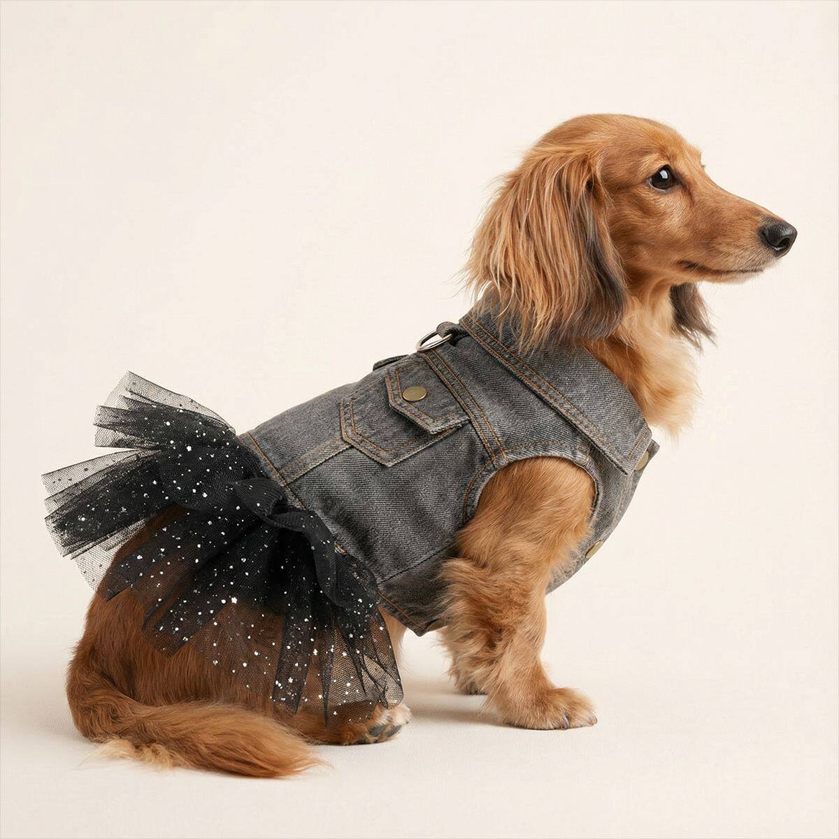 PETCIRCLE宠物小狗猫咪衣服可爱